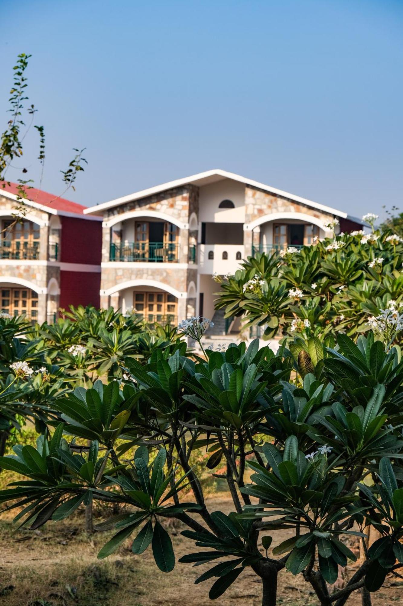The Sariska Retreat Otel Thana Ghazi Dış mekan fotoğraf